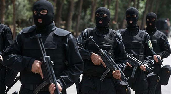 Iranian Intelligence